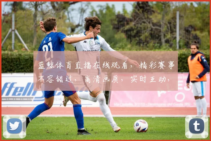 蓝鲸体育直播在线观看，精彩赛事不容错过，高清画质，实时互动，三重福利等你来